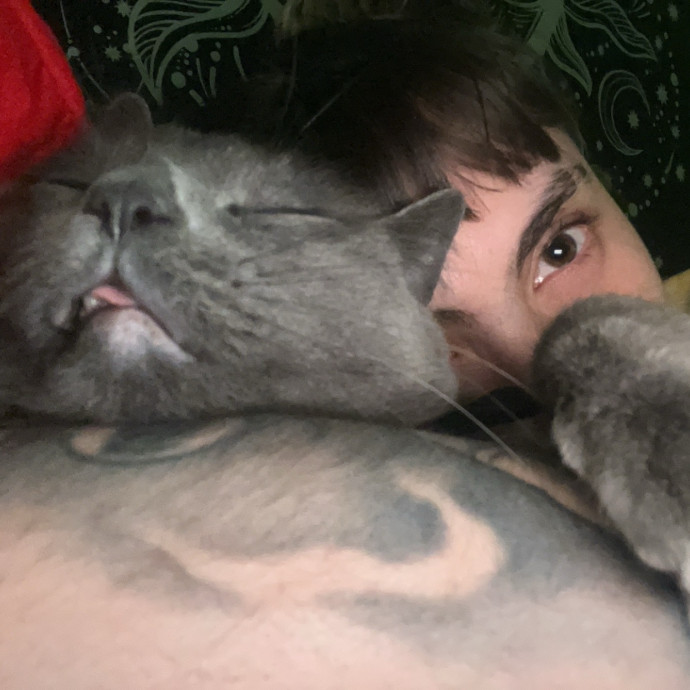 Hannah's Kitty Kare