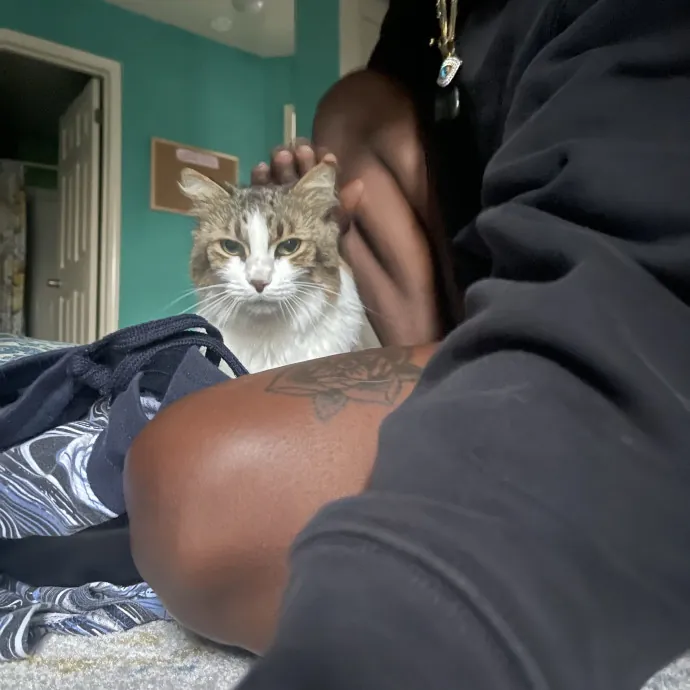 From Hyper Kittens To Sweet Seniors
