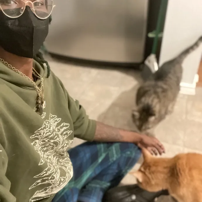 From Hyper Kittens To Sweet Seniors