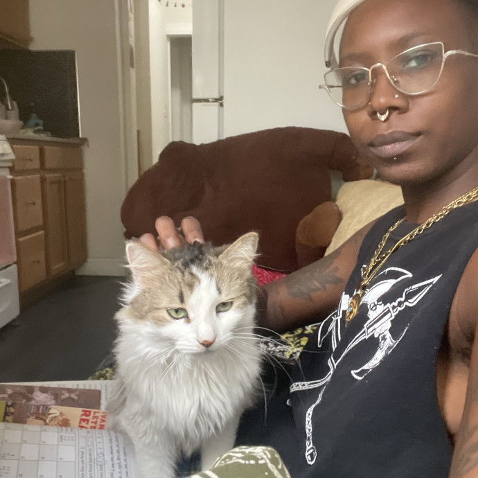 From Hyper Kittens To Sweet Seniors