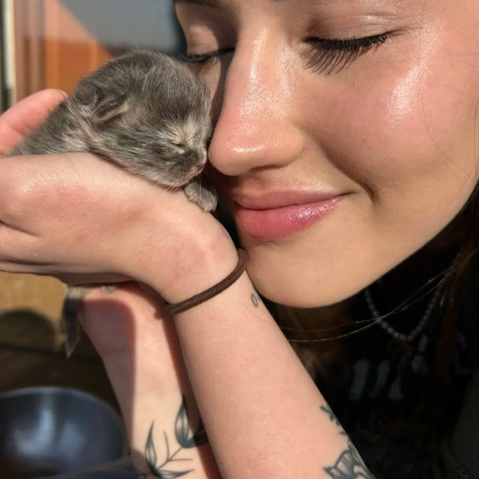 Loving Cat Care While You're Away