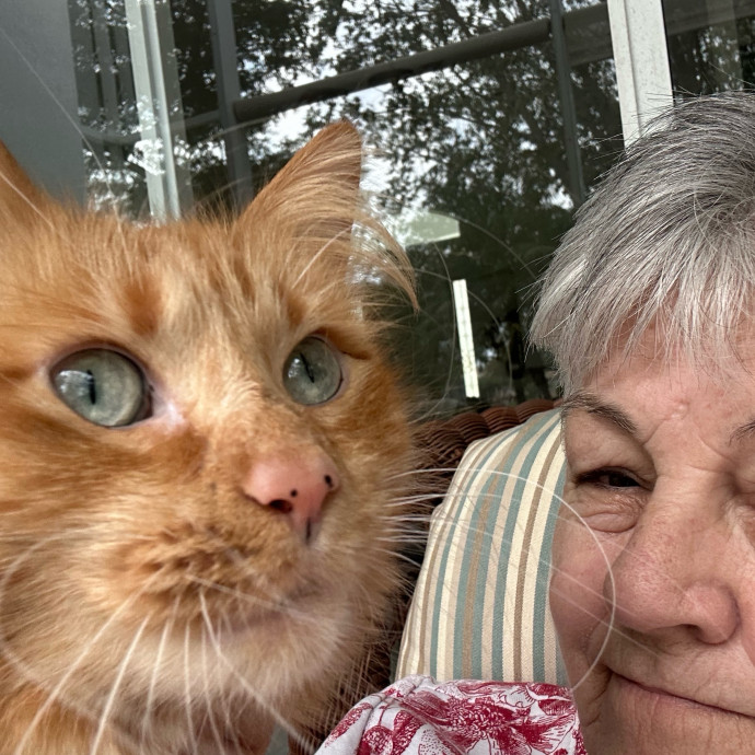 My Grandchild Is A Cat