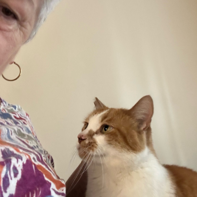 My Grandchild Is A Cat