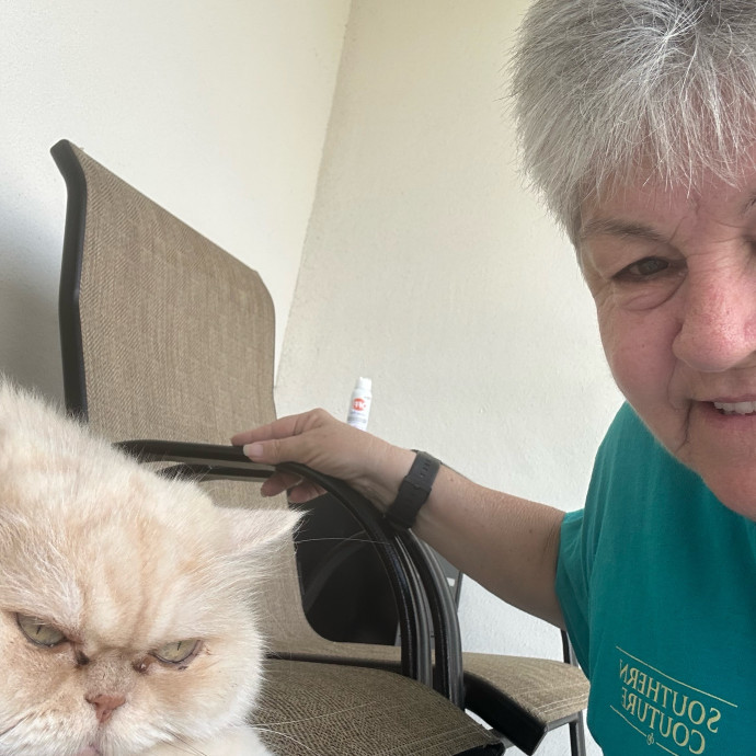 My Grandchild Is A Cat photo 3