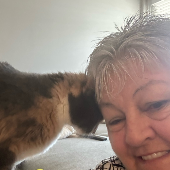 My Grandchild Is A Cat photo 2