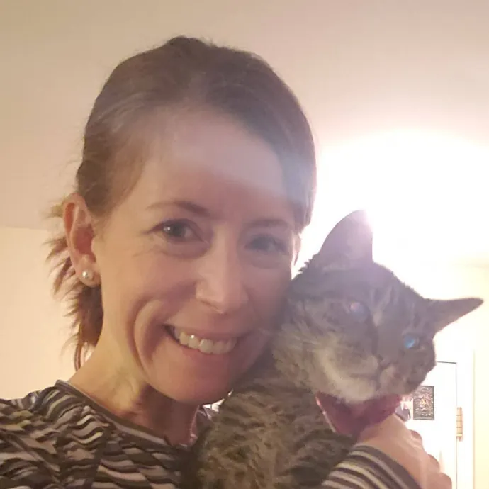 Your Cat's Purr-Fect Companion