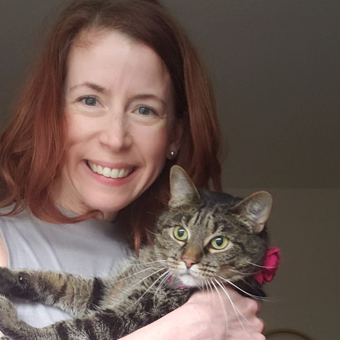 Your Cat's Purr-Fect Companion