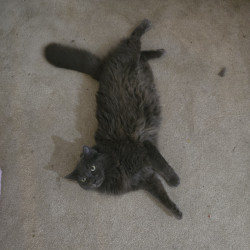 Photo #3