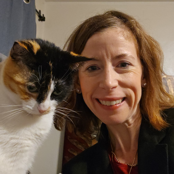 Your Cat's Purr-Fect Companion