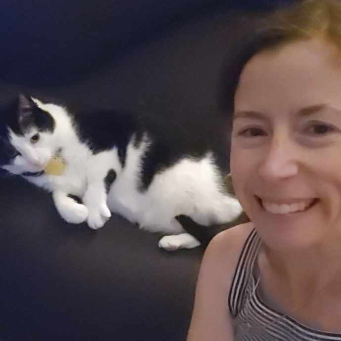 Your Cat's Purr-Fect Companion