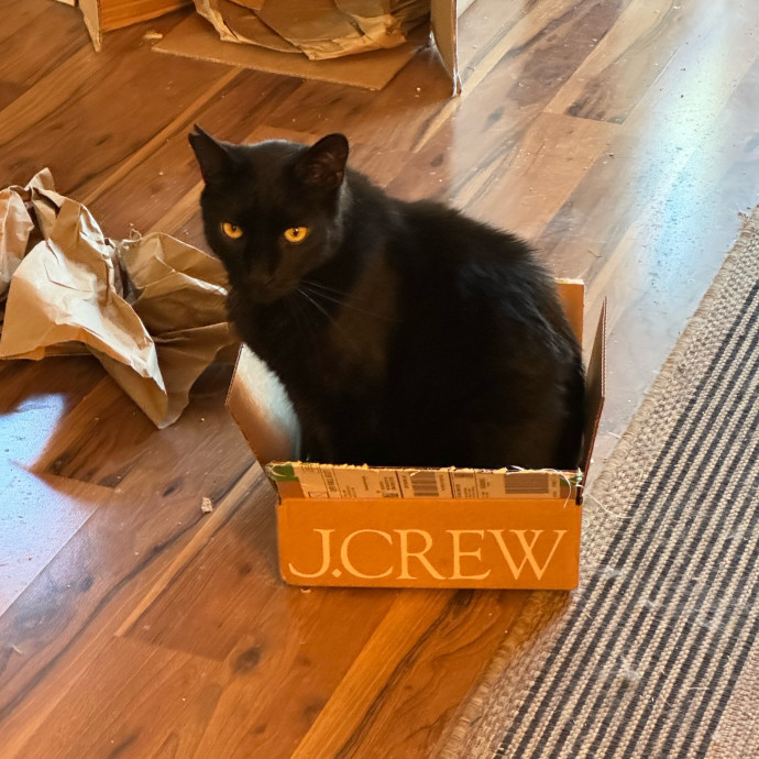 Happy To Be A Cat Servant