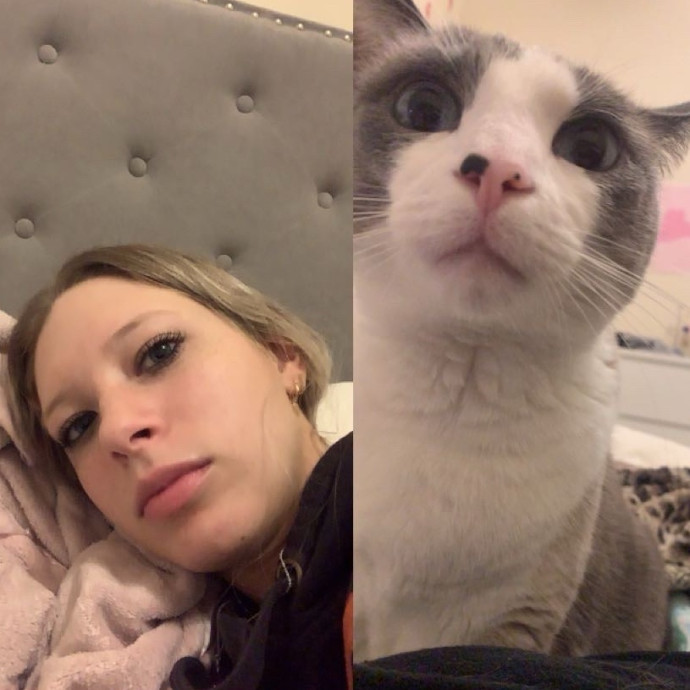 Cat Lover Happy To Help photo 3