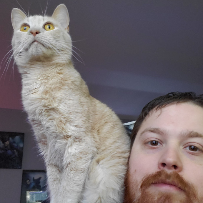 Cat Loving Sitter Every Meow And Then