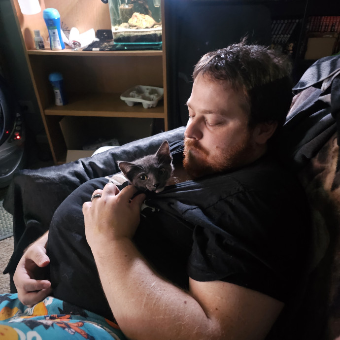 Cat Loving Sitter Every Meow And Then photo 3