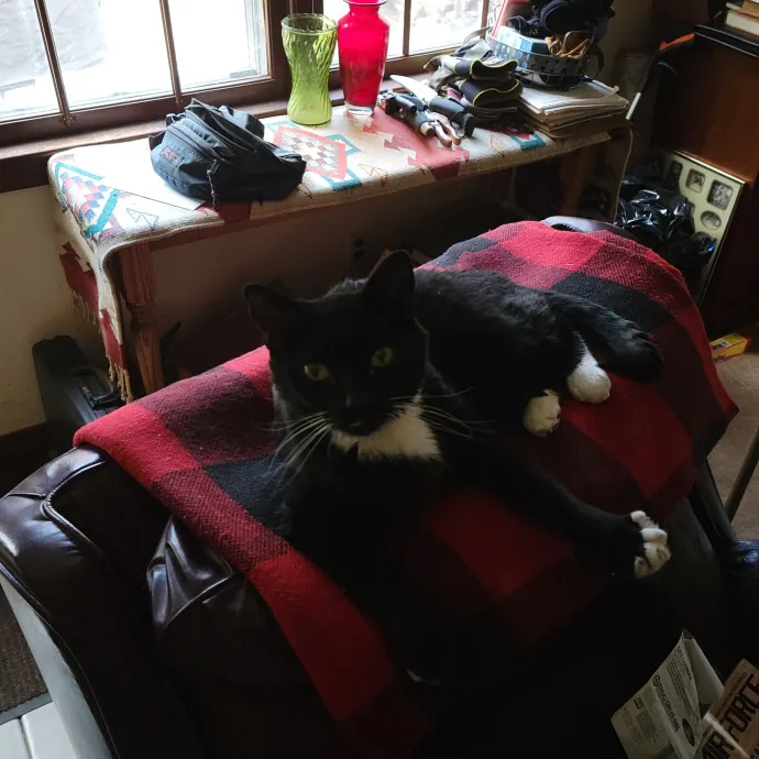 The Ginge's Catutopia Care In Littleton