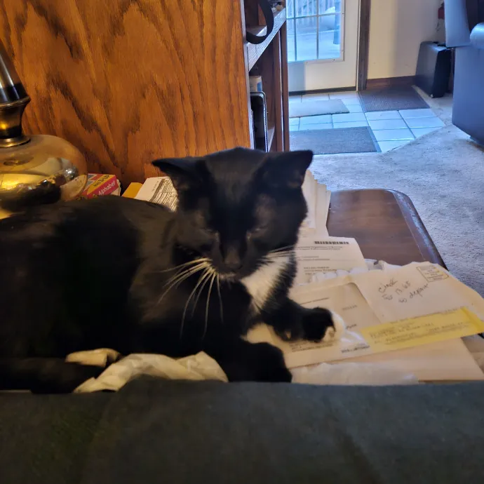 The Ginge's Catutopia Care In Littleton