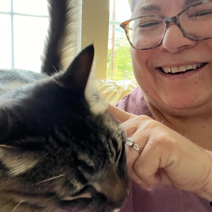 Professional Kitty Cuddler  Cat Spoiler