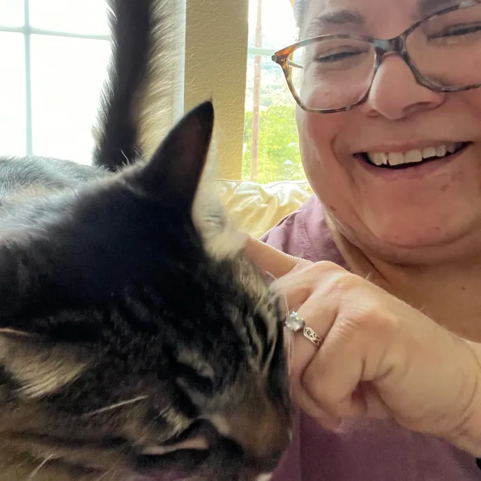 Professional Kitty Cuddler  Cat Spoiler