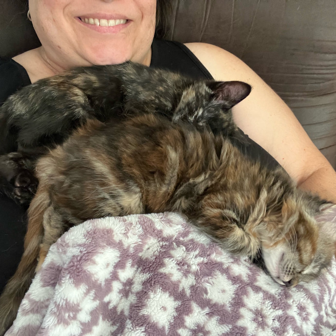 Professional Kitty Cuddler  Cat Spoiler