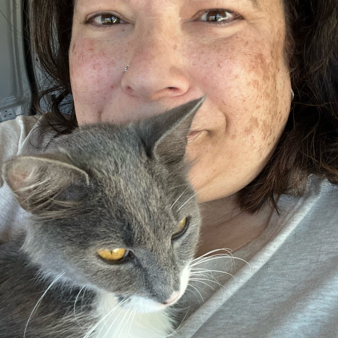 Professional Kitty Cuddler  Cat Spoiler