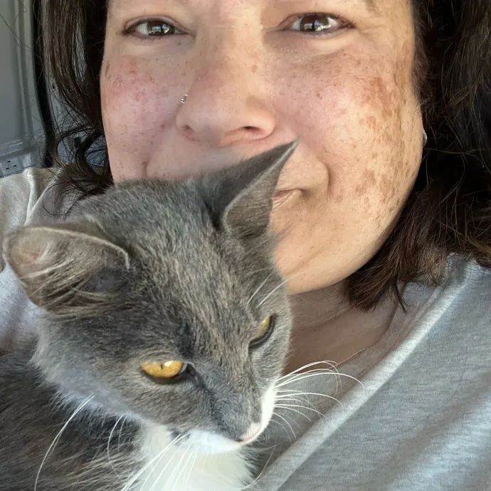 Professional Kitty Cuddler  Cat Spoiler