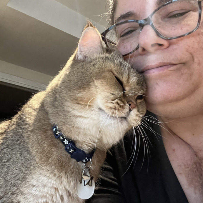 Professional Kitty Cuddler  Cat Spoiler