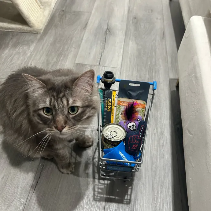 The Cat Whisperer photo 4