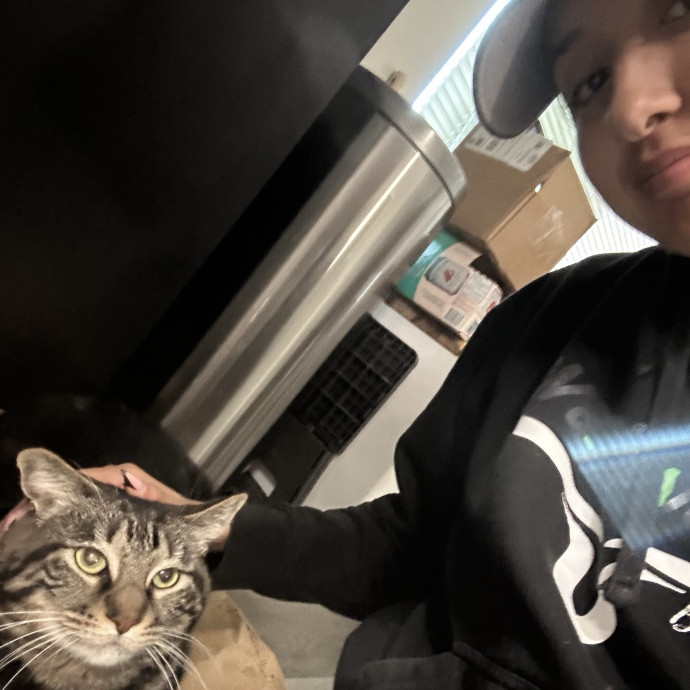 Your Kitty's Guardian Angel