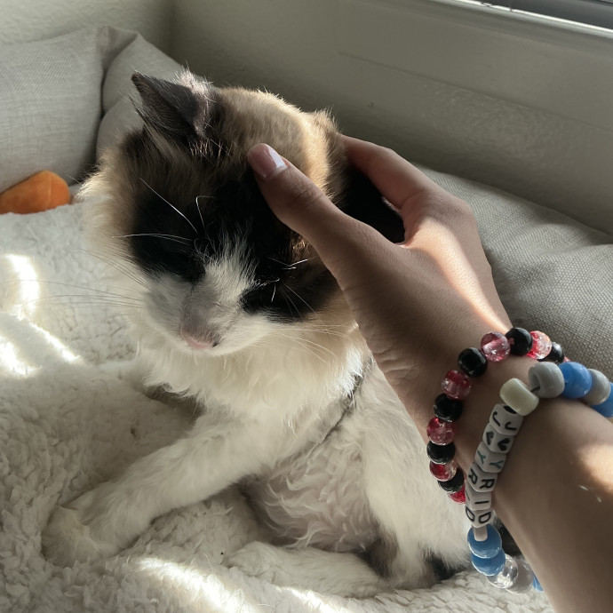 Your Kitty's Guardian Angel