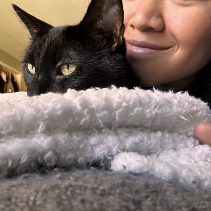Capitol Hill Cat Care photo 3