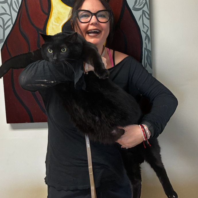 Crazycatmo