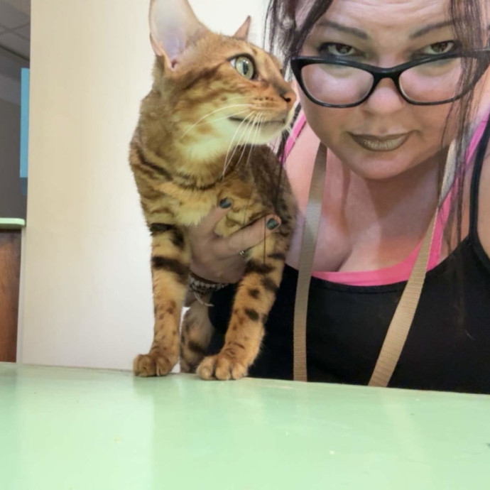 Crazycatmo