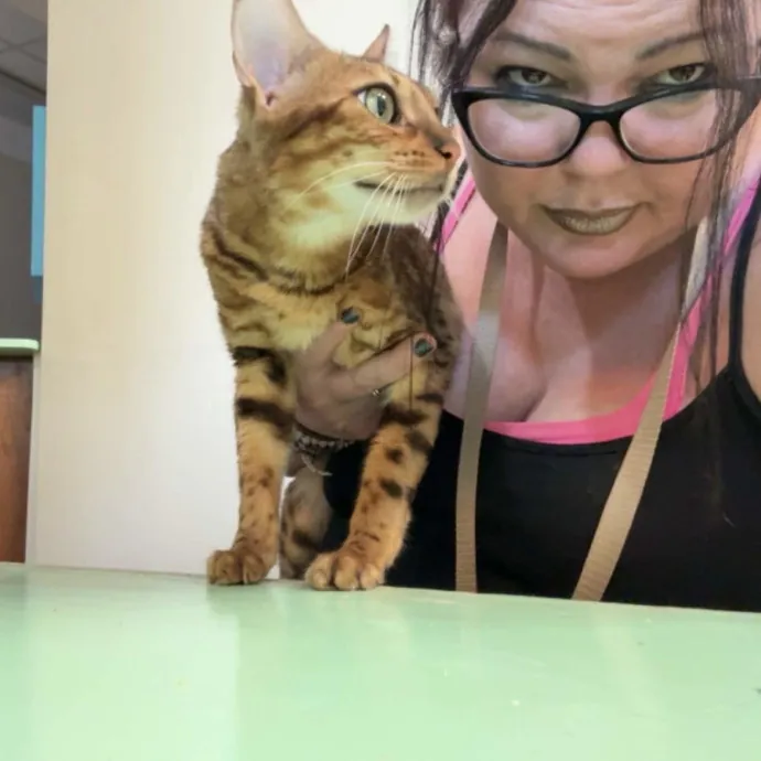Crazycatmo