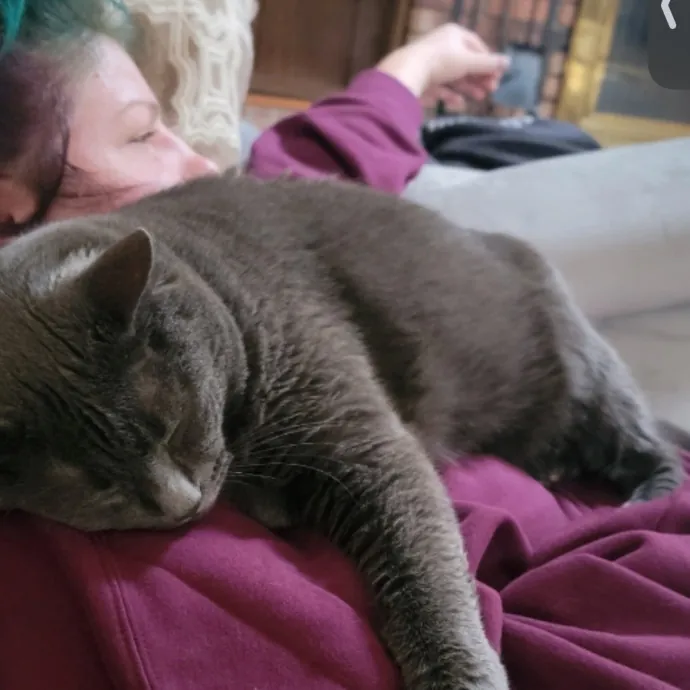 Patient  Gentle Cat Lover