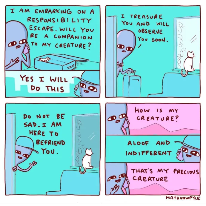 Don't Stress - Cat Sitting By Kelsea photo 2