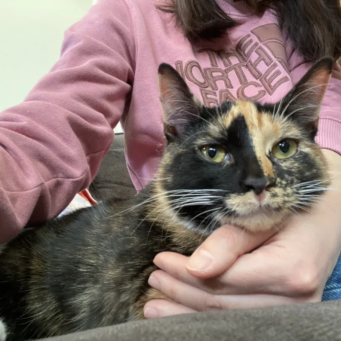 Help You Travel With A Peaceful Mind 