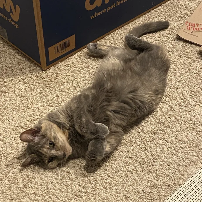 Help You Travel With A Peaceful Mind 