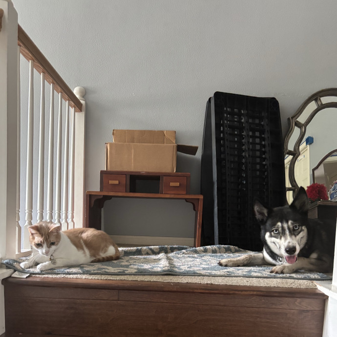 Animal Lover At Heart Pet Sitter