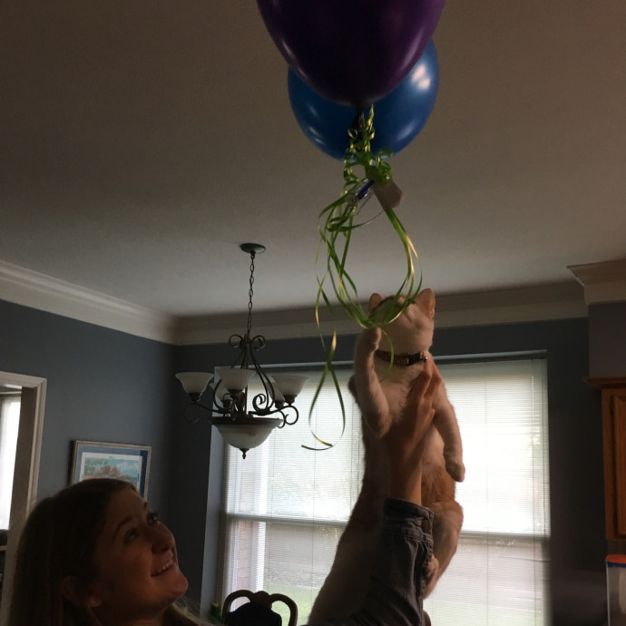 Animal Lover At Heart Pet Sitter photo 3