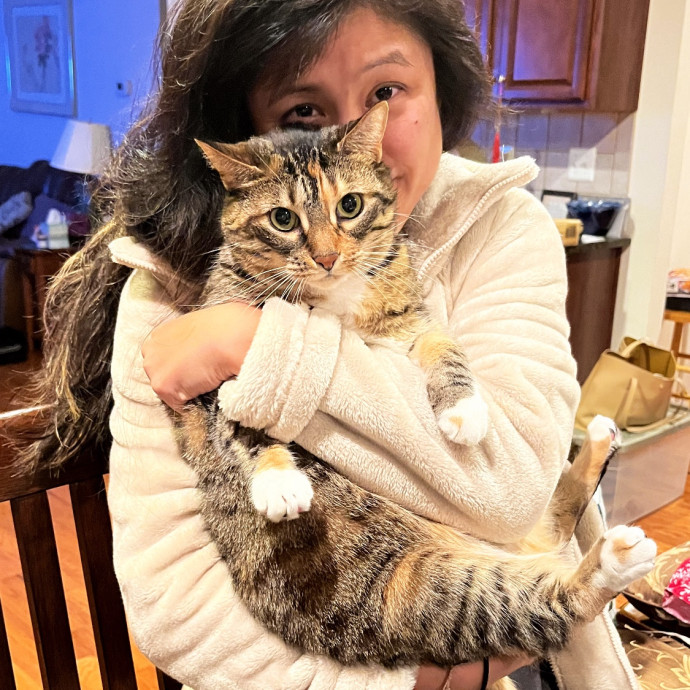 Cat Sitter With Healthcare Experience