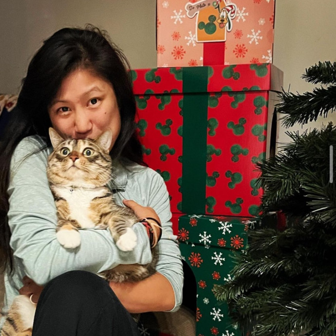 Cat Sitter With Healthcare Experience