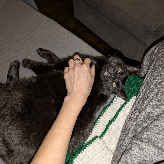 Adina's Cat Castle