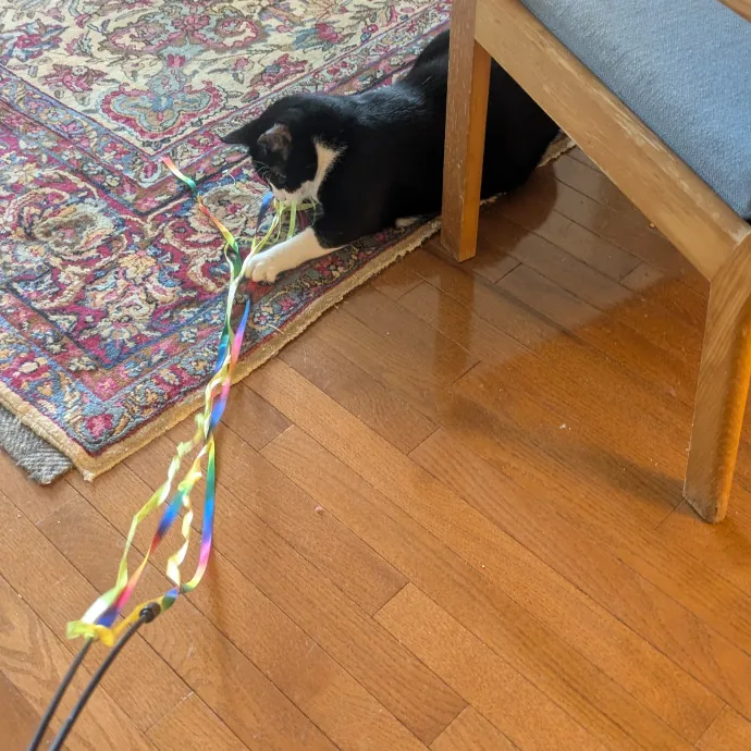 Adina's Cat Castle photo 4