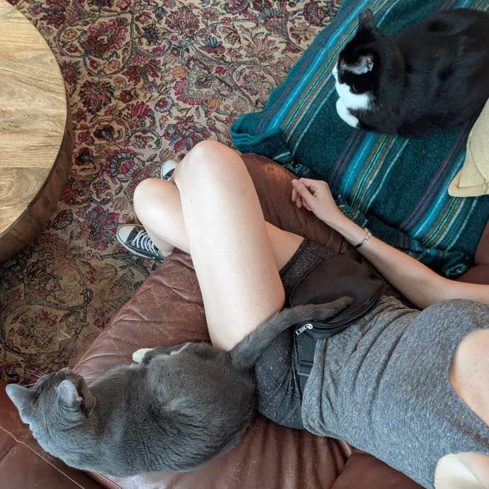 Adina's Cat Castle photo 3