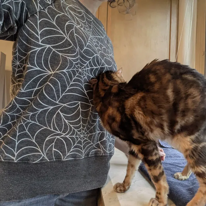 Adina's Cat Castle photo 2