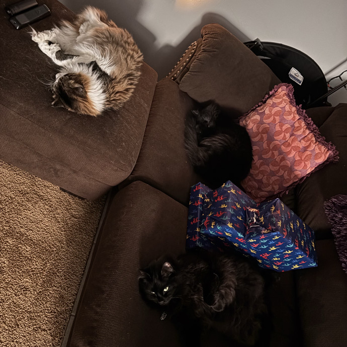 Full Time Cat Lover
