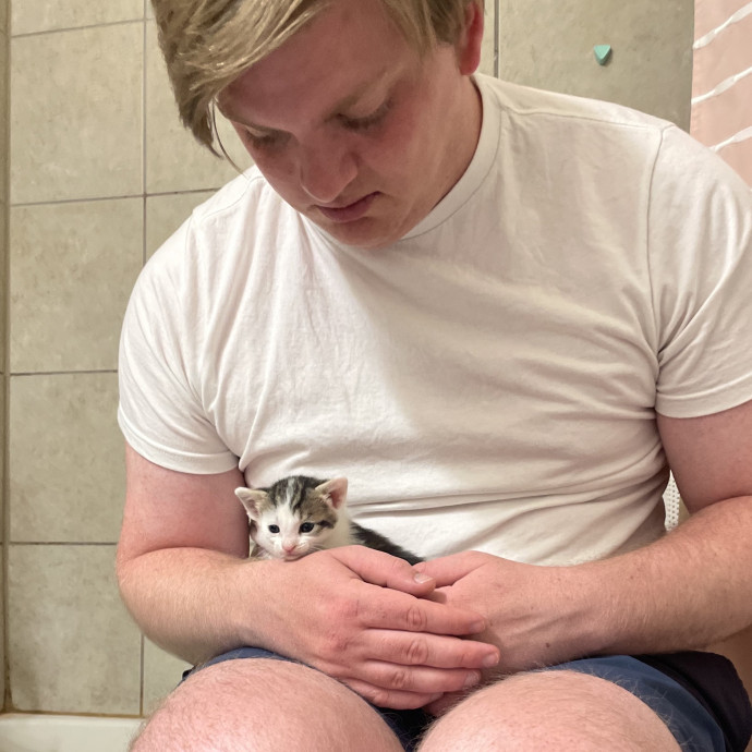 Lifelong Pet Parent With 3 Cats