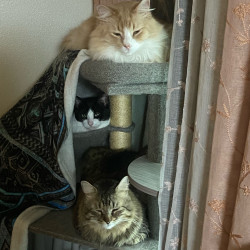 Photo #5