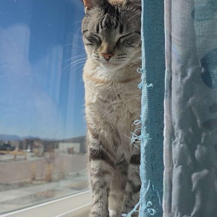 Andrea's Toe Bean Sitter