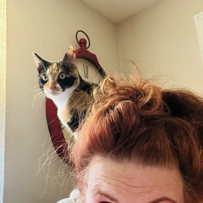 Lifetime Cat Lover